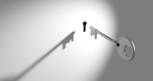 LBAA Akademijos ir LBAA buhalterio profesionalo vardas – naujos galimybės